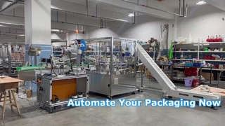 ZH100 উল্লম্ব রোটারি কার্টোনিং মেশিন